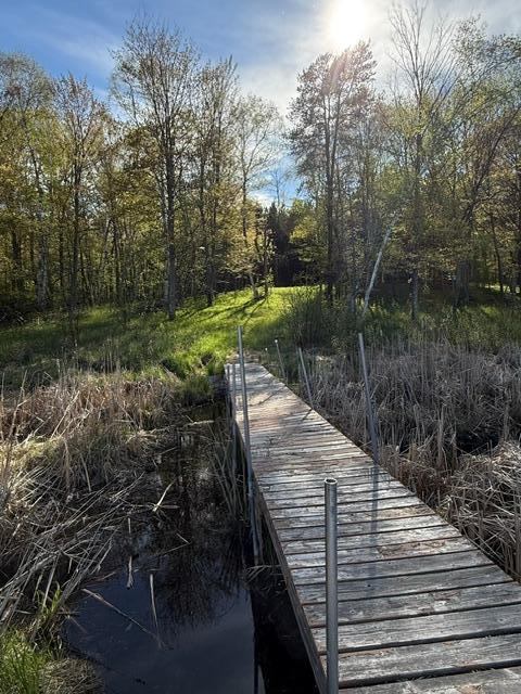 TBD County Road 3, Merrifield, MN 56465
