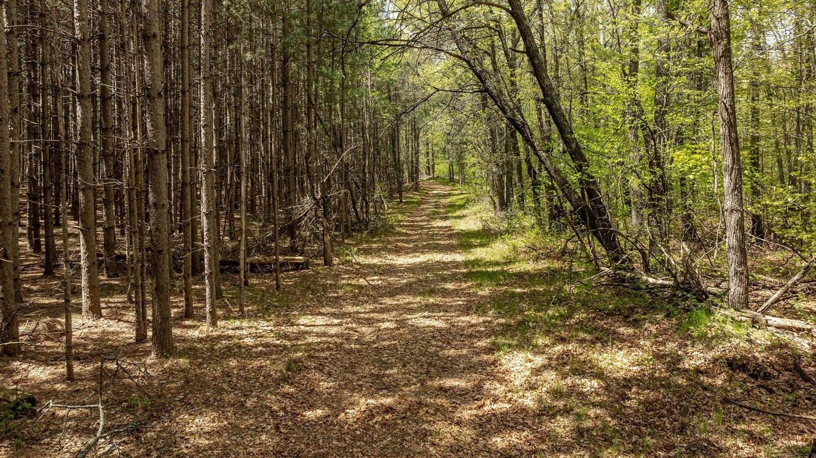 TBD County Road 3, Merrifield, MN 56465