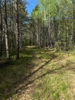 TBD County Road 3, Merrifield, MN 56465