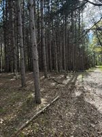 TBD County Road 3, Merrifield, MN 56465
