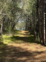 TBD County Road 3, Merrifield, MN 56465