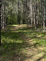 TBD County Road 3, Merrifield, MN 56465