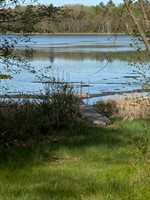 TBD County Road 3, Merrifield, MN 56465