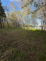 TBD County Road 3, Merrifield, MN 56465