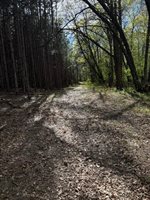 TBD County Road 3, Merrifield, MN 56465