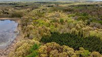 TBD County Road 3, Merrifield, MN 56465