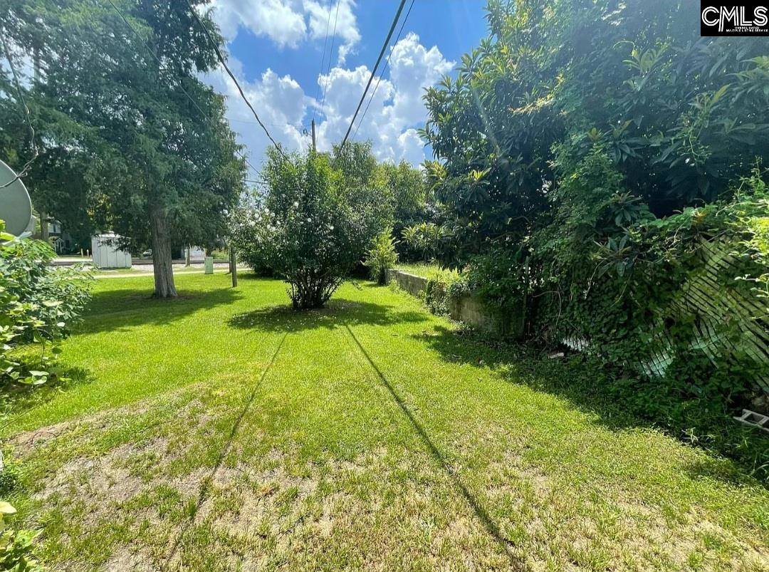 201-203 Tryon, Columbia, SC 29201