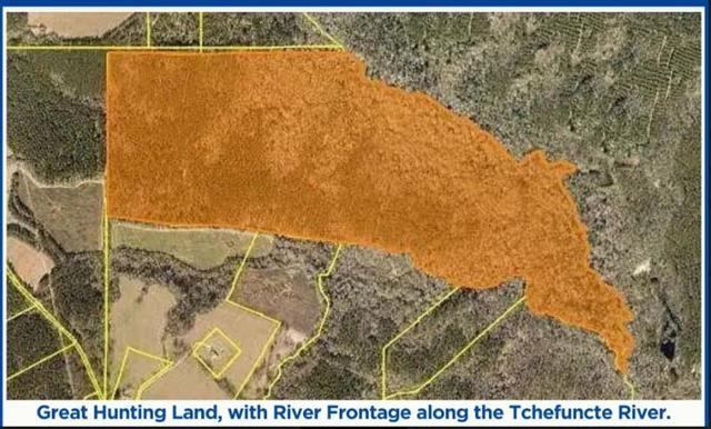220 Acres Z Mcdaniel Road, Kentwood, LA 70444