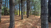 49 Hughes Road, Mapleton, ME 04757