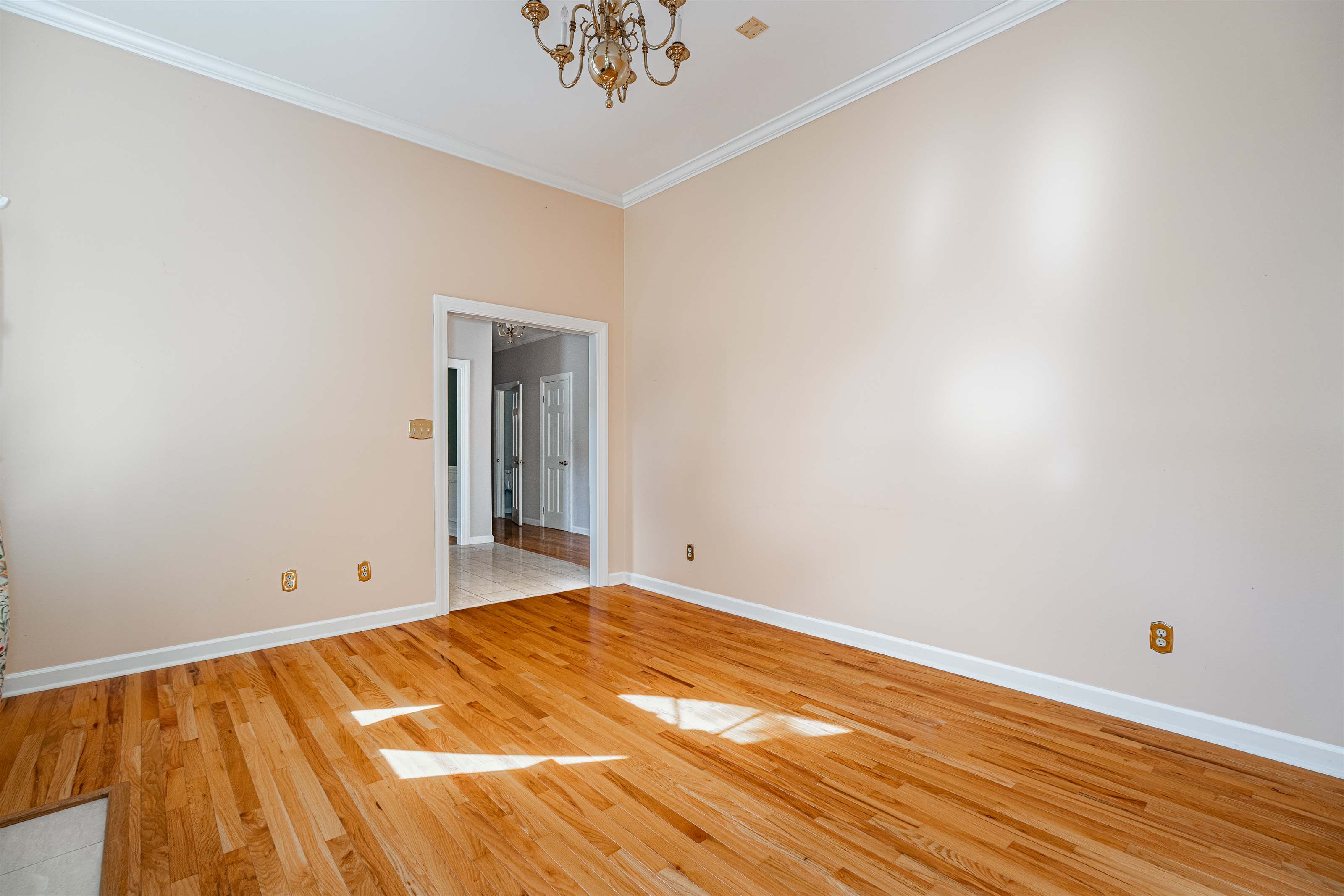 573 Wateroak Trail, Chapin, SC 29036