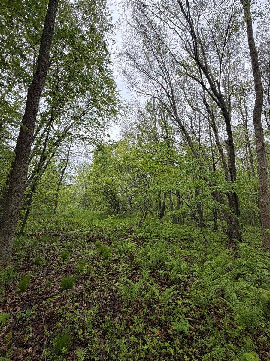 5755 350th Street, Stanley, WI 54768