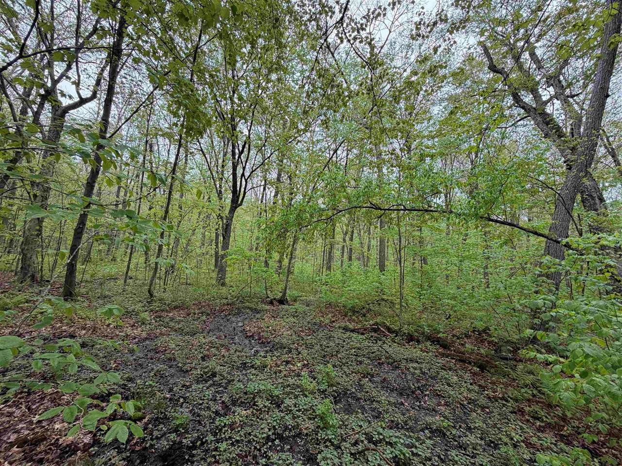 5755 350th Street, Stanley, WI 54768