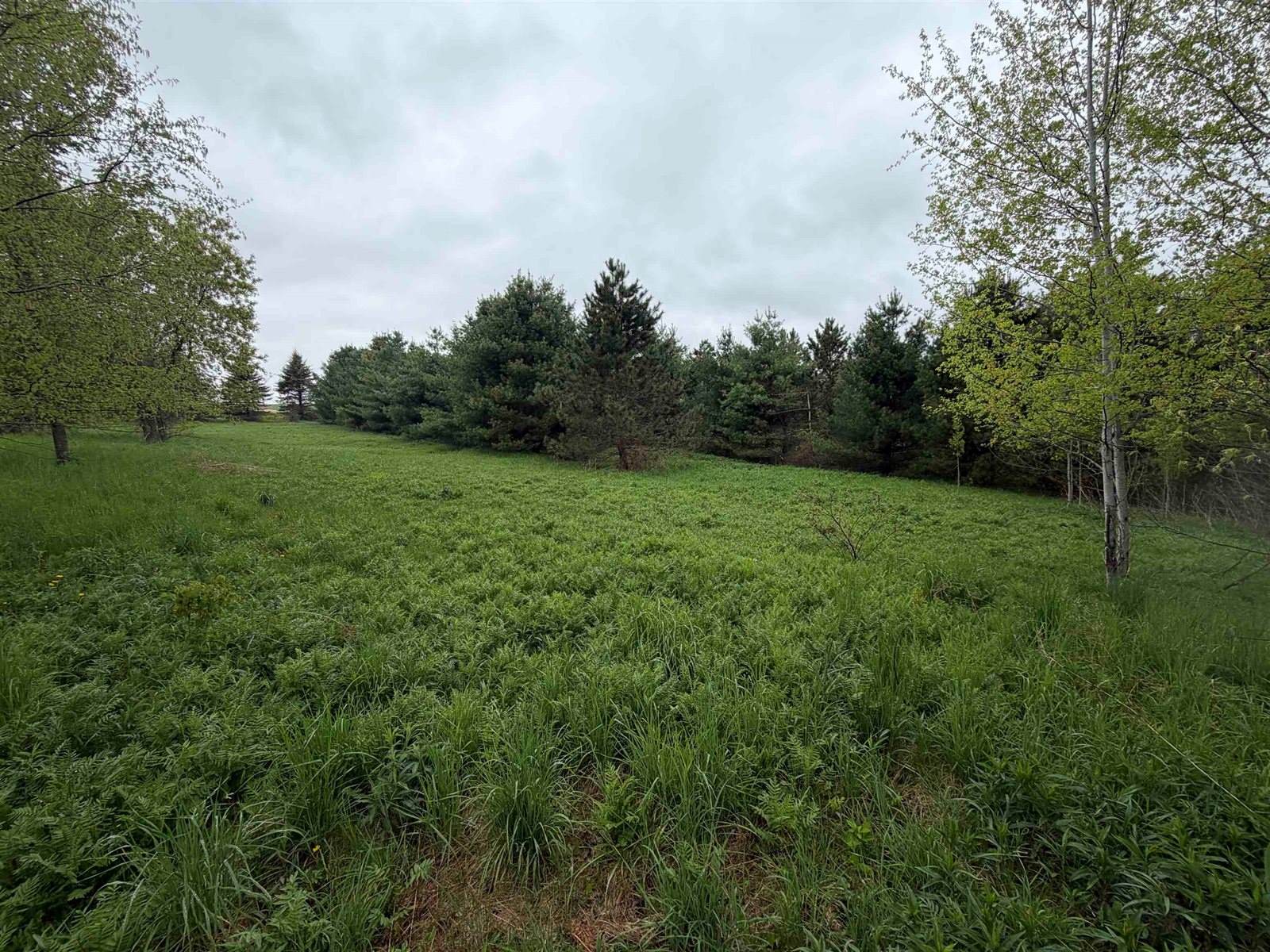 5755 350th Street, Stanley, WI 54768