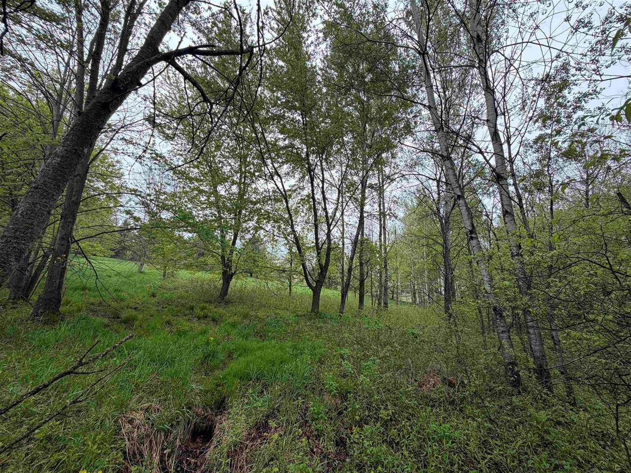 5755 350th Street, Stanley, WI 54768