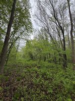 5755 350th Street, Stanley, WI 54768