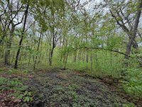 5755 350th Street, Stanley, WI 54768