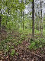 5755 350th Street, Stanley, WI 54768