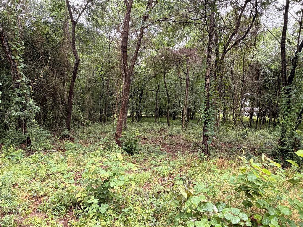 5265 Pecan Tree Lane, Montgomery, TX 77316