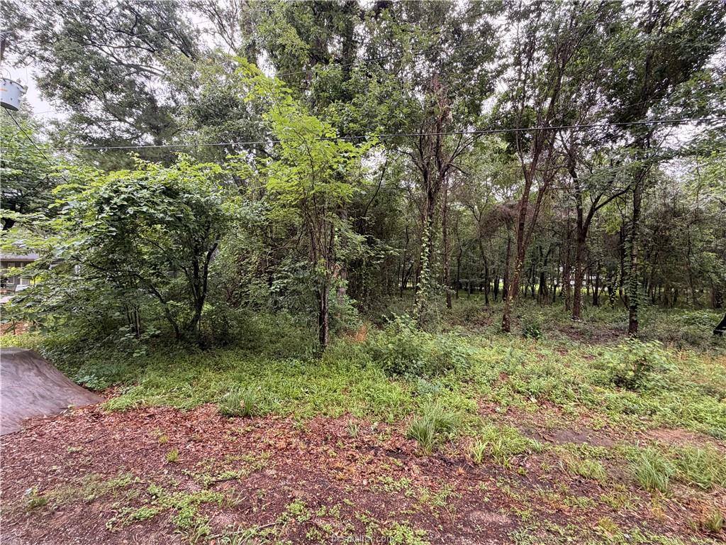 5265 Pecan Tree Lane, Montgomery, TX 77316