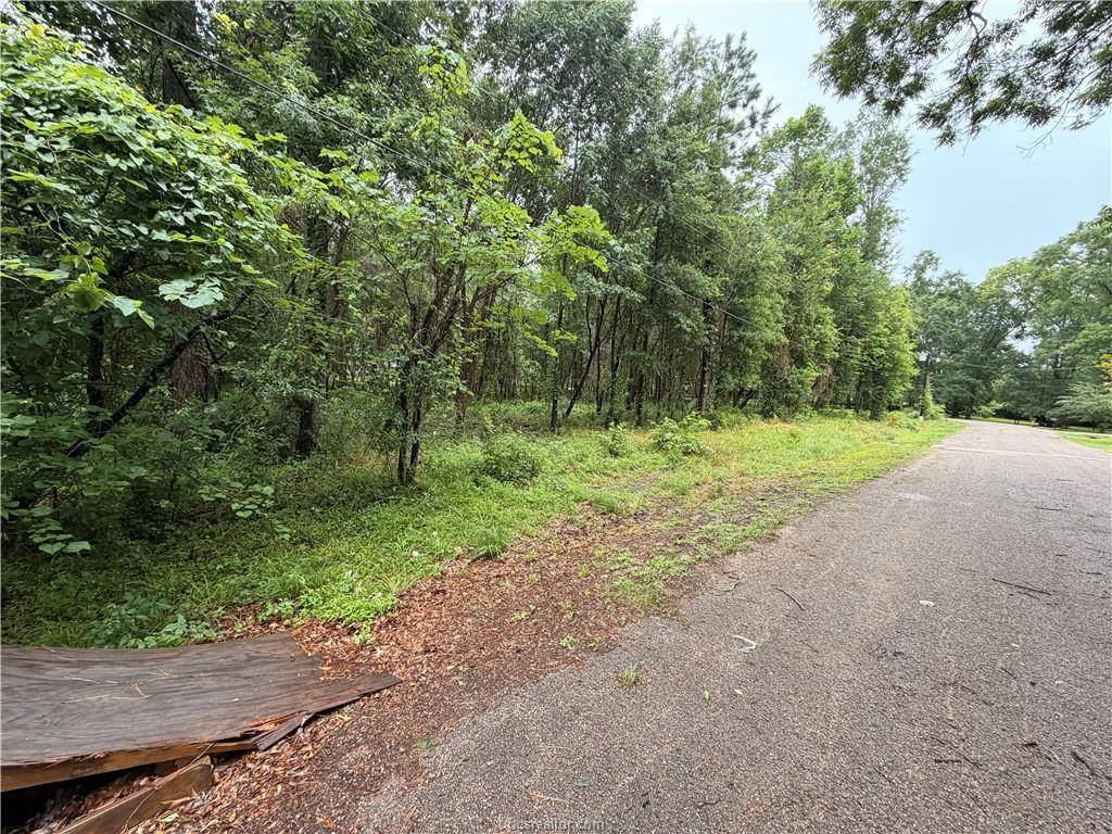 5265 Pecan Tree Lane, Montgomery, TX 77316