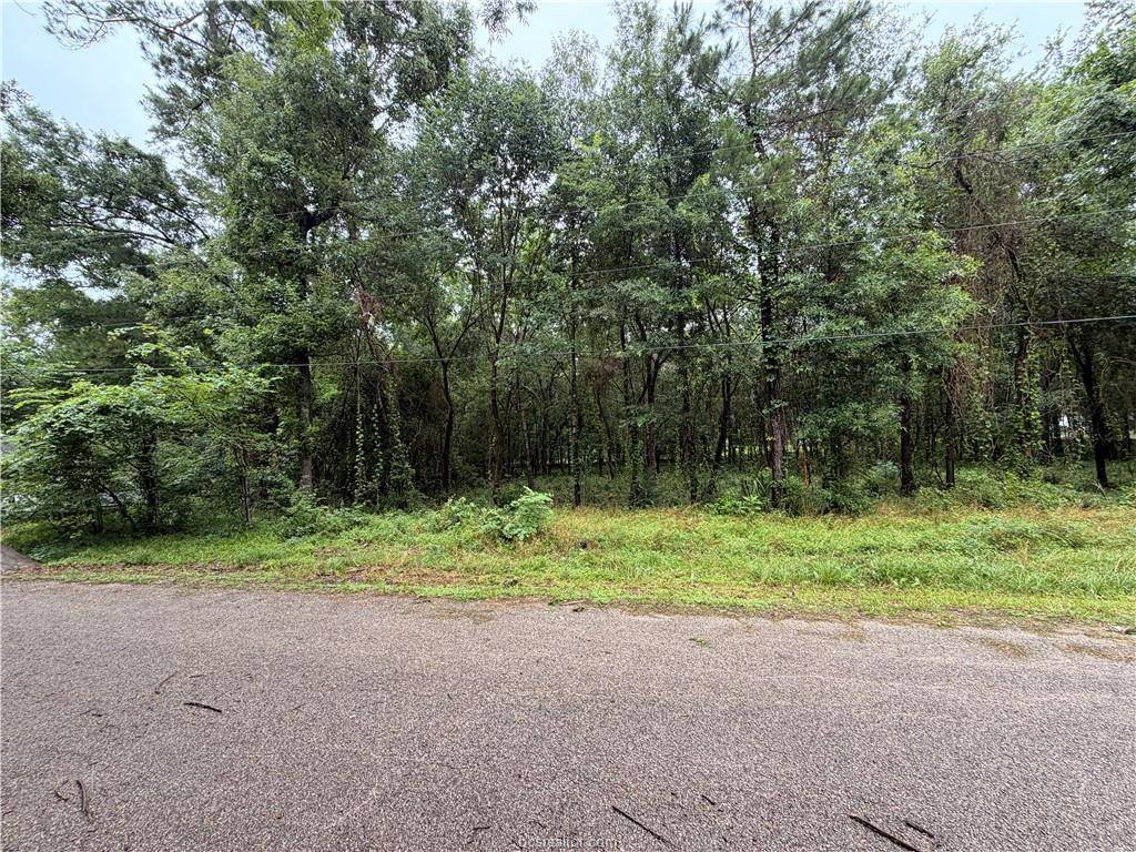 5265 Pecan Tree Lane, Montgomery, TX 77316