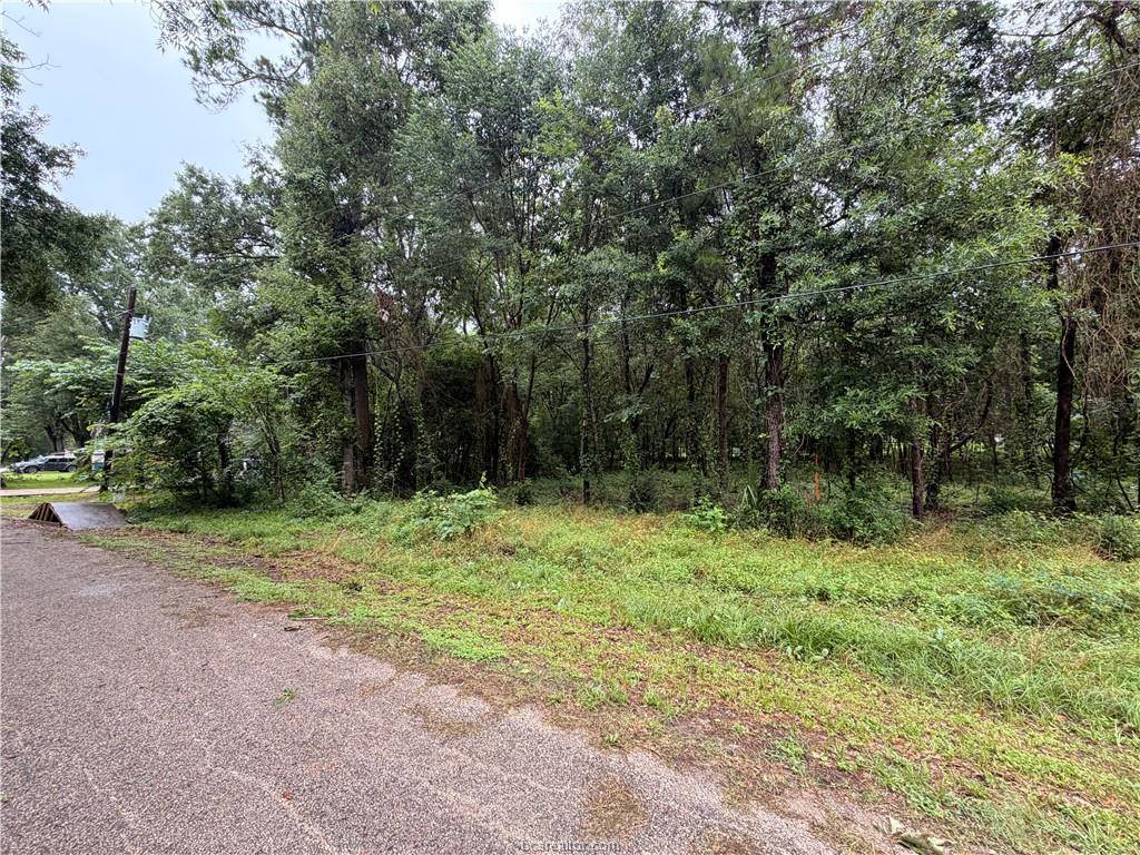 5265 Pecan Tree Lane, Montgomery, TX 77316