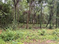 5265 Pecan Tree Lane, Montgomery, TX 77316