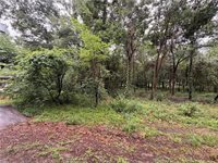 5265 Pecan Tree Lane, Montgomery, TX 77316