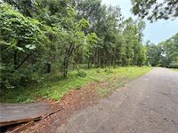 5265 Pecan Tree Lane, Montgomery, TX 77316