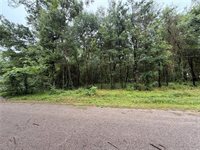 5265 Pecan Tree Lane, Montgomery, TX 77316