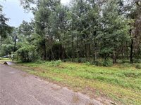 5265 Pecan Tree Lane, Montgomery, TX 77316