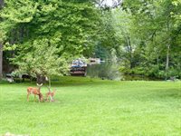 762 Timberlake Drive, Lynchburg, VA 24502