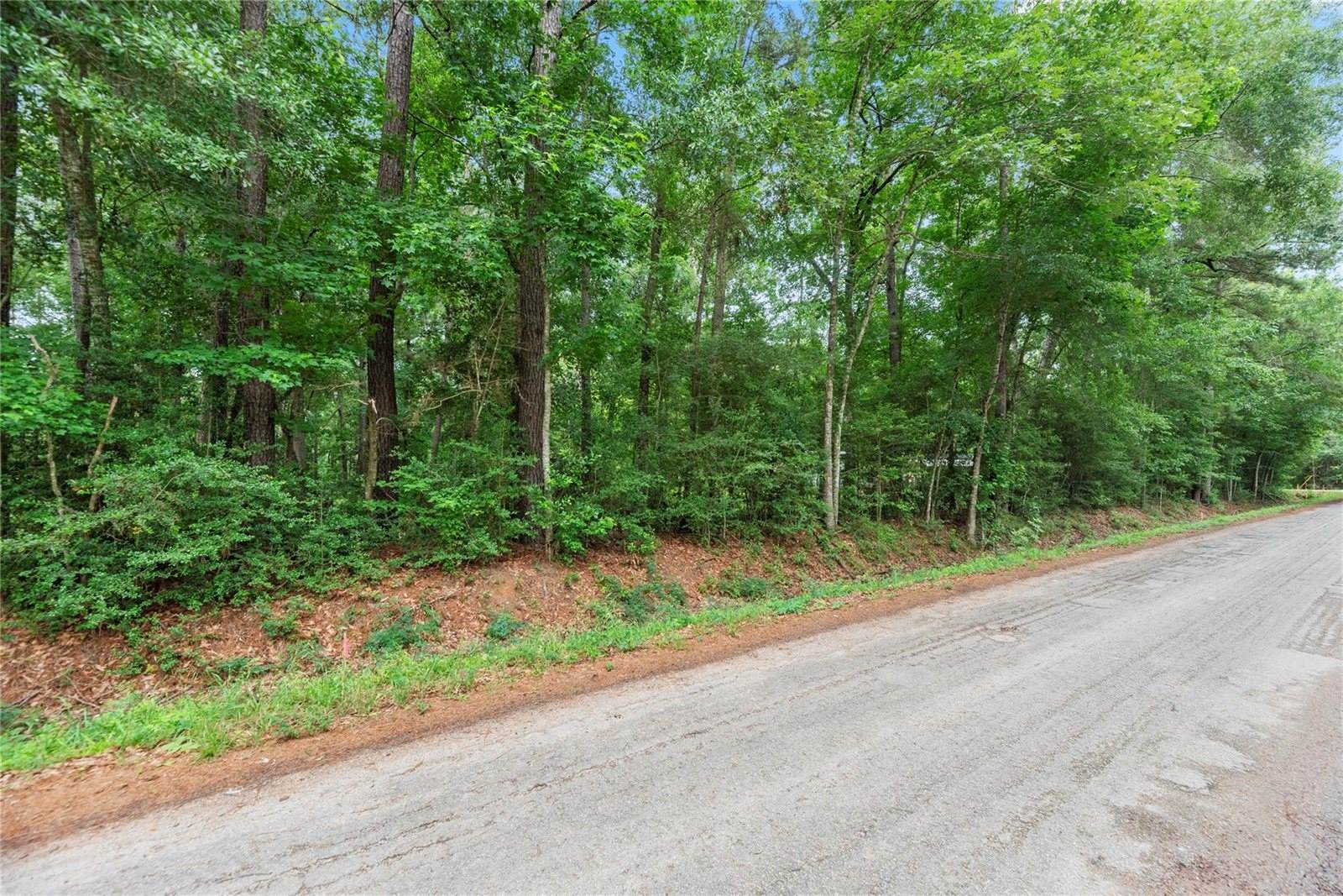 8 County Road 3564, New Caney, TX 77357