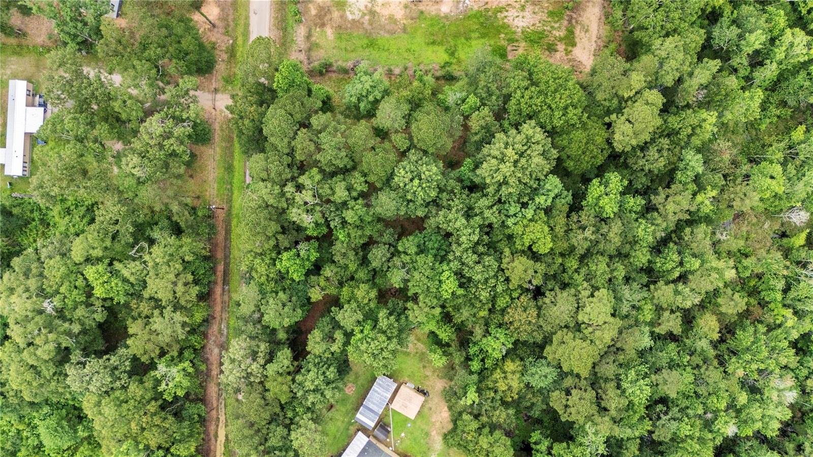8 Cr 3564, New Caney, TX 77357