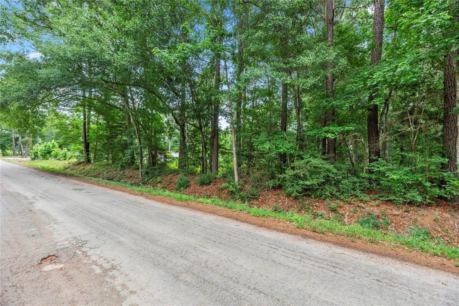 8 Cr 3564, New Caney, TX 77357