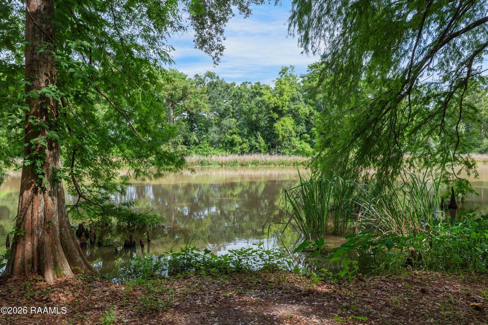 4422 Irish Bend Road, Franklin, LA 70538