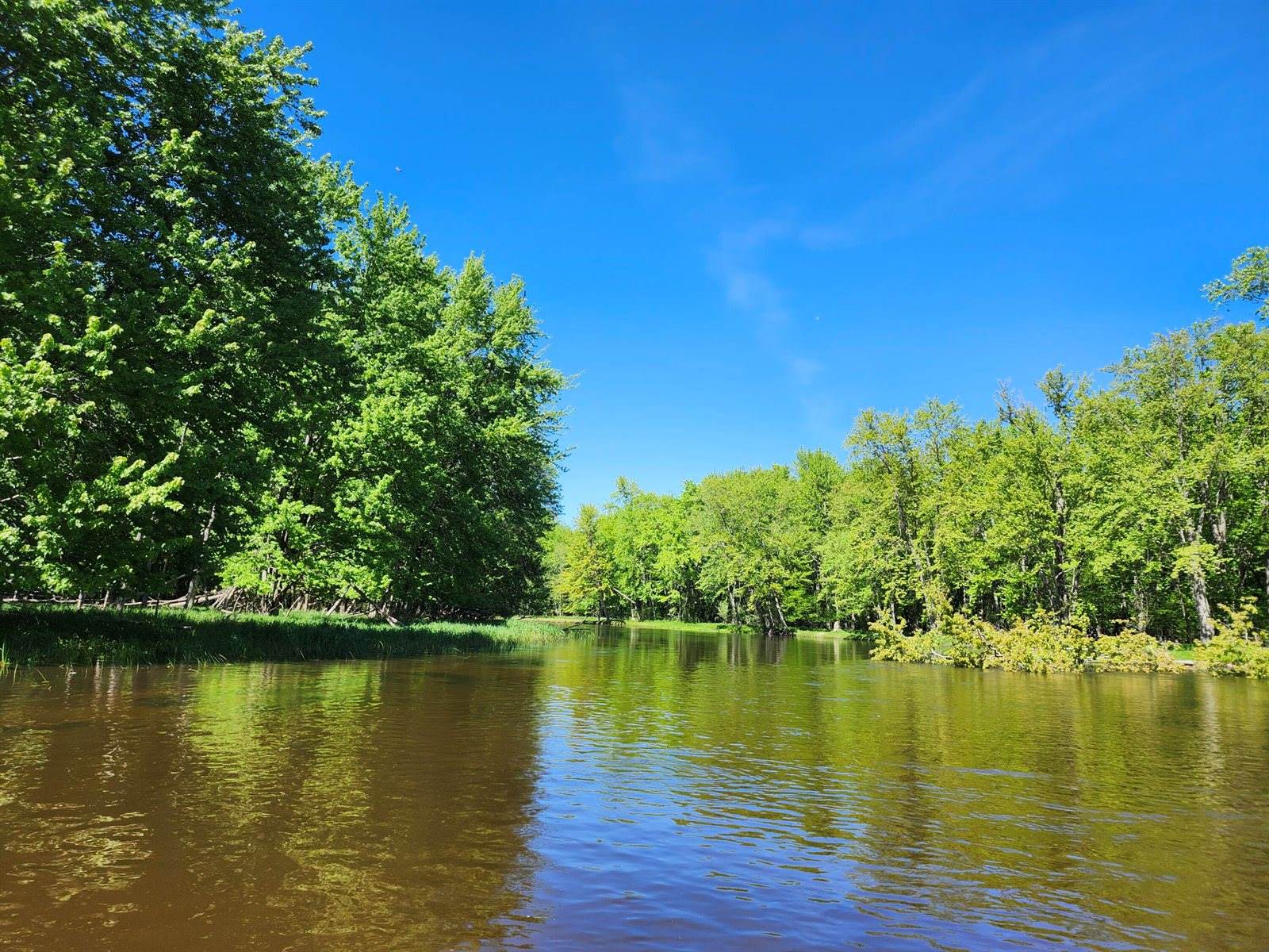West Wilson, RivertonTownship_Mason, MI 49431
