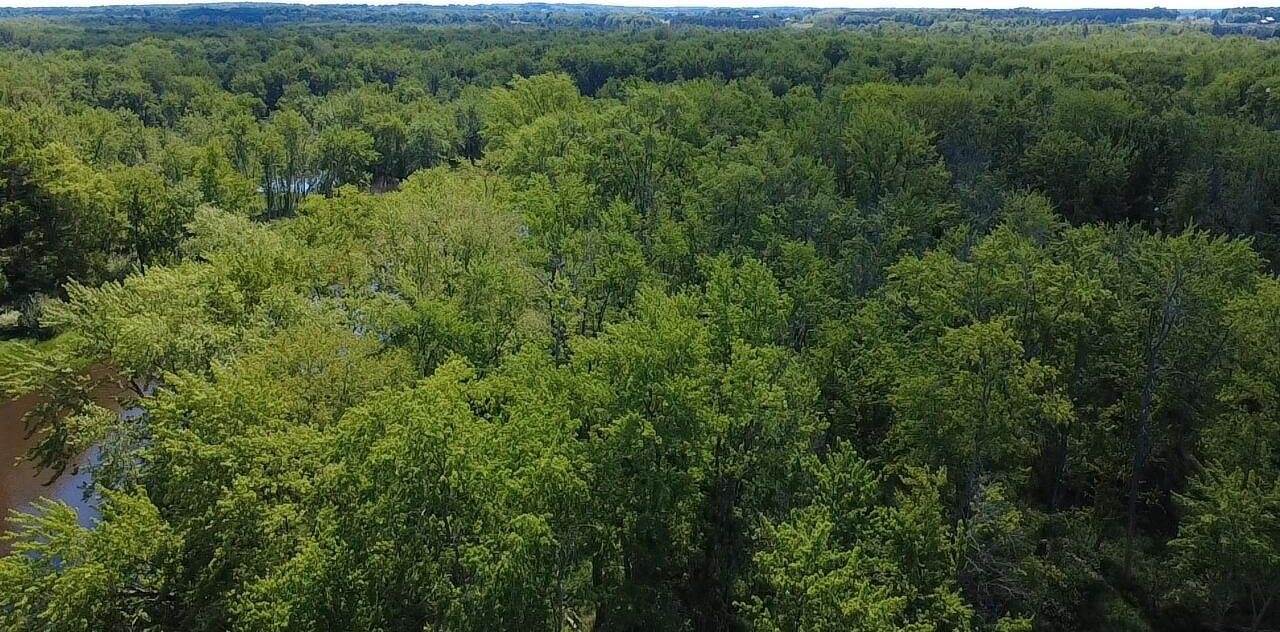 West Wilson, RivertonTownship_Mason, MI 49431