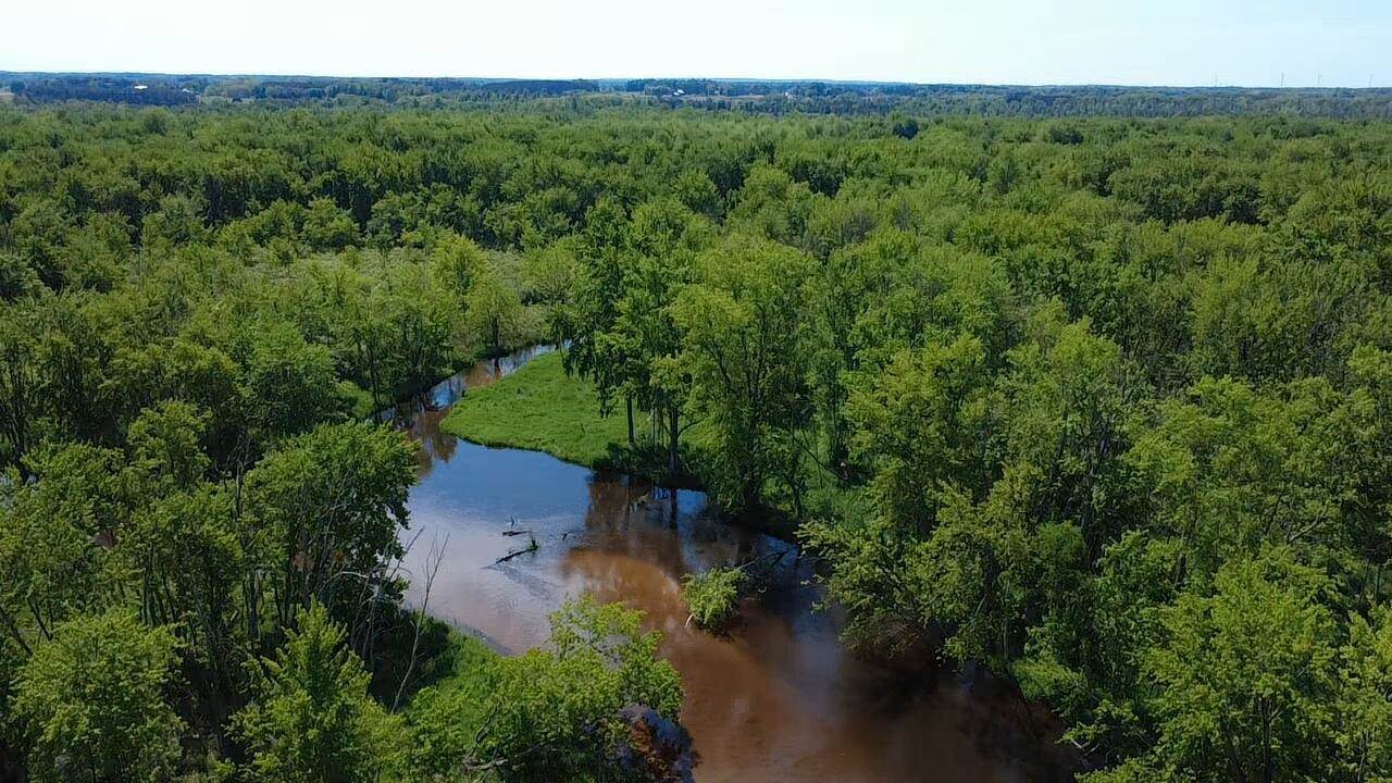 West Wilson, RivertonTownship_Mason, MI 49431