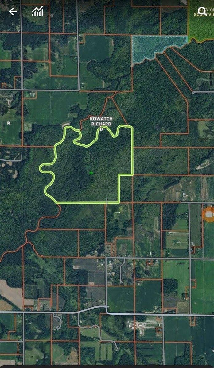 West Wilson, RivertonTownship_Mason, MI 49431