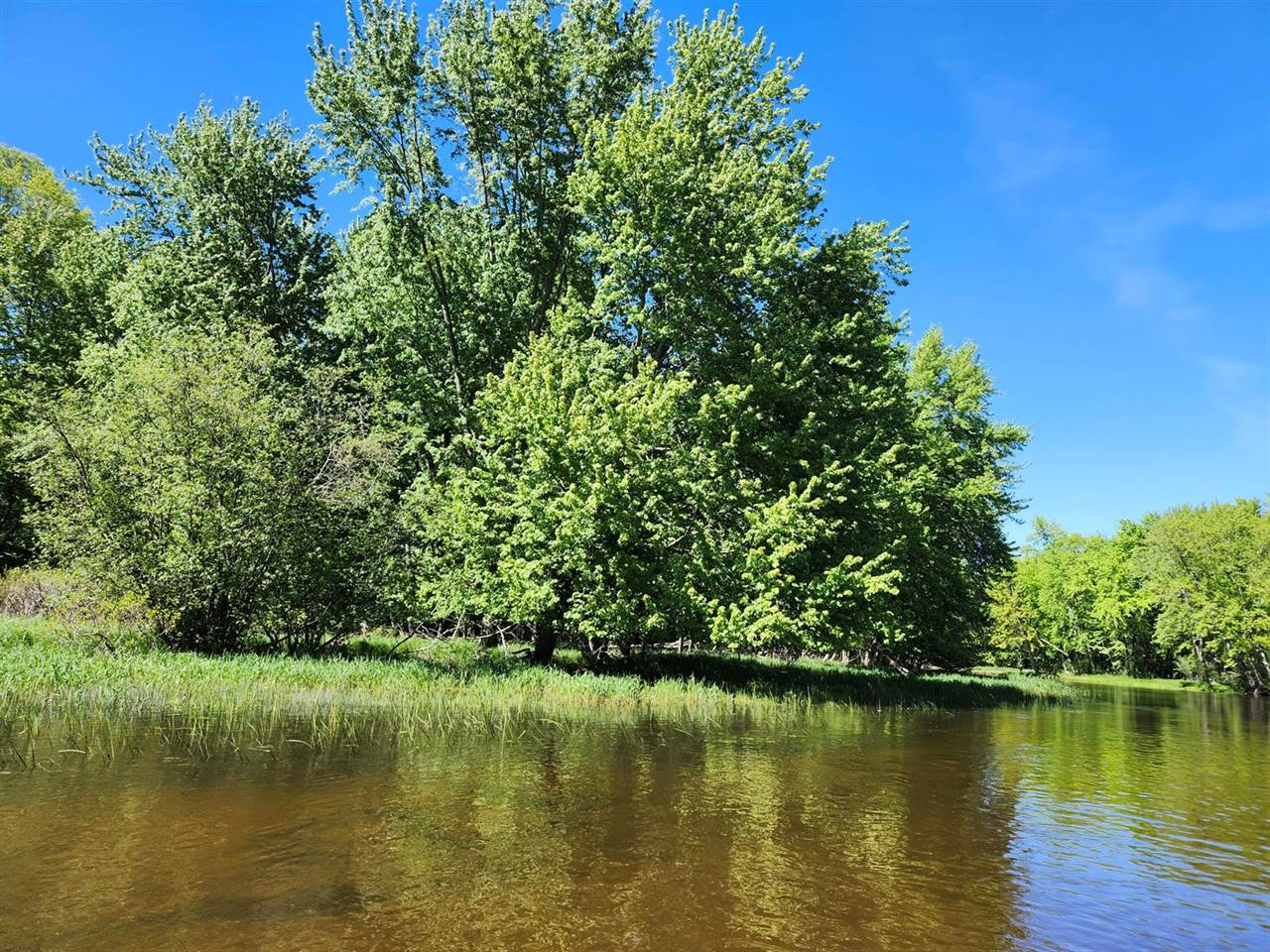West Wilson, RivertonTownship_Mason, MI 49431