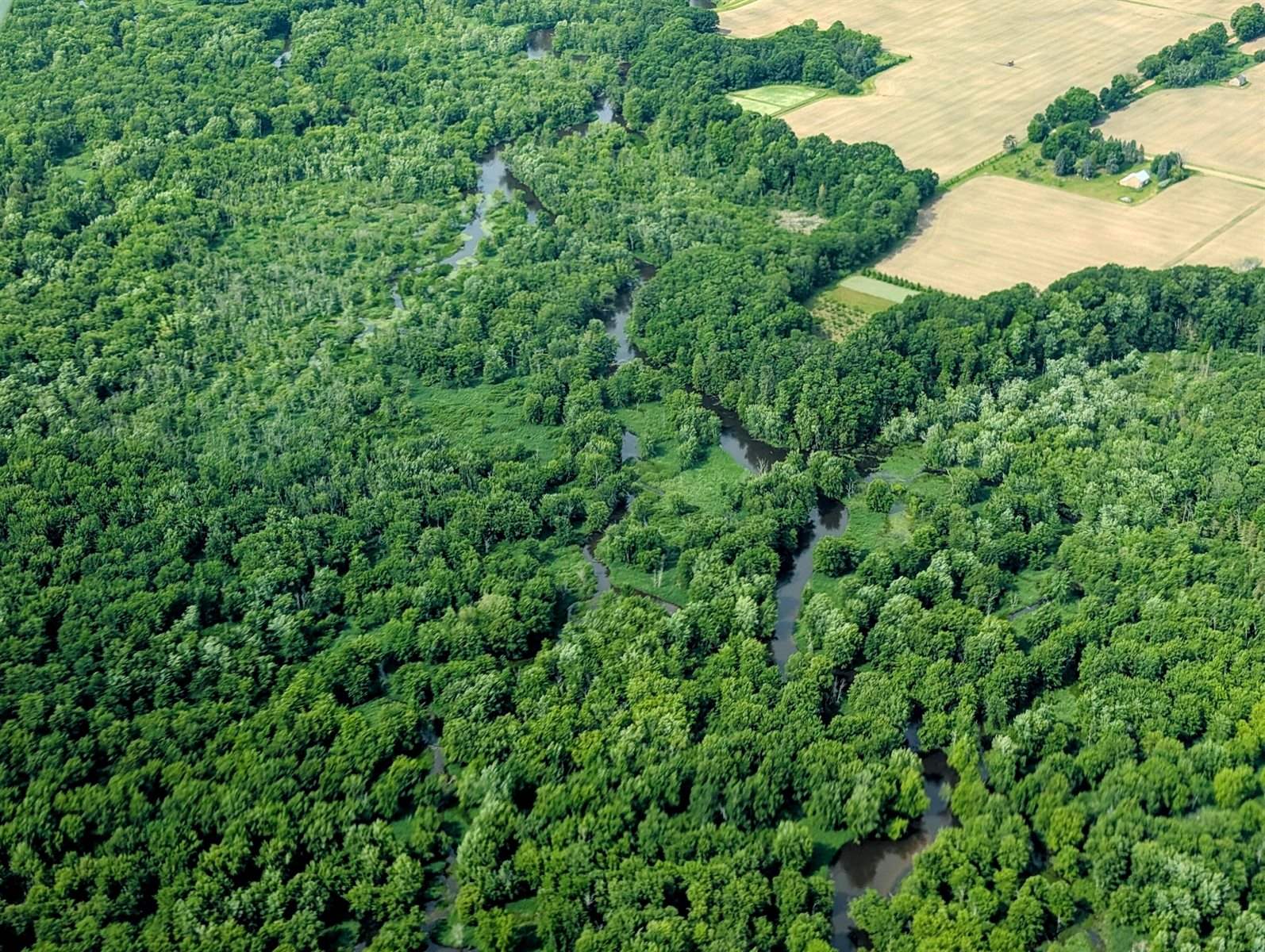 West Wilson, RivertonTownship_Mason, MI 49431