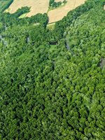 West Wilson, RivertonTownship_Mason, MI 49431