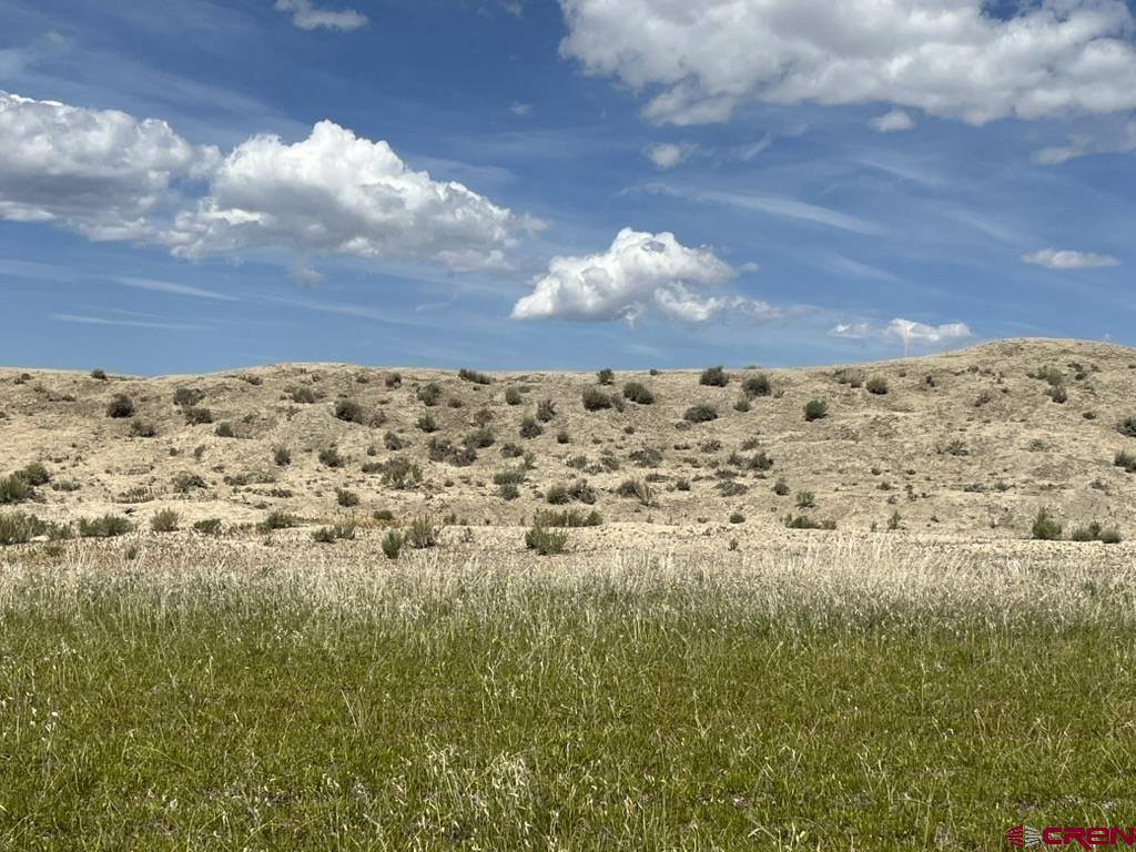 TBD Lot 1&2 Racine Road, Montrose, CO 81401
