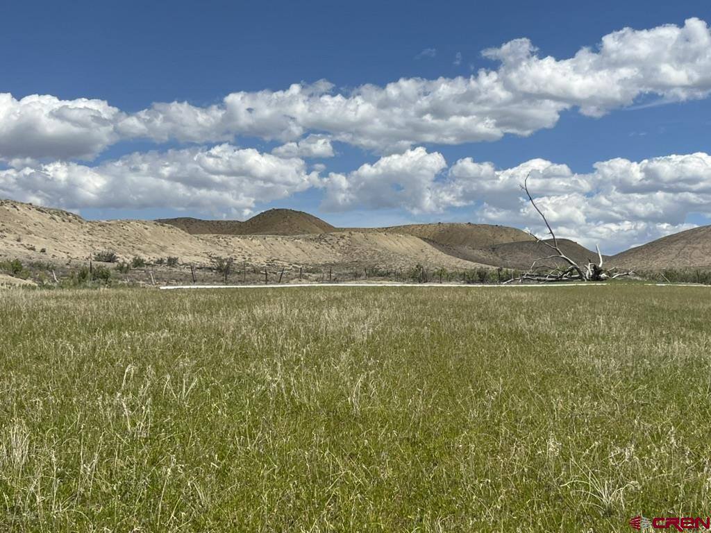 TBD Lot 1&2 Racine Road, Montrose, CO 81401