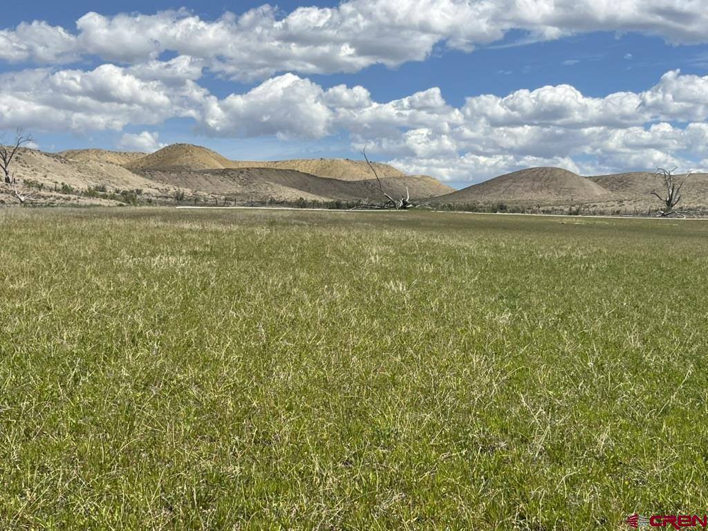 TBD Lot 1&2 Racine Road, Montrose, CO 81401