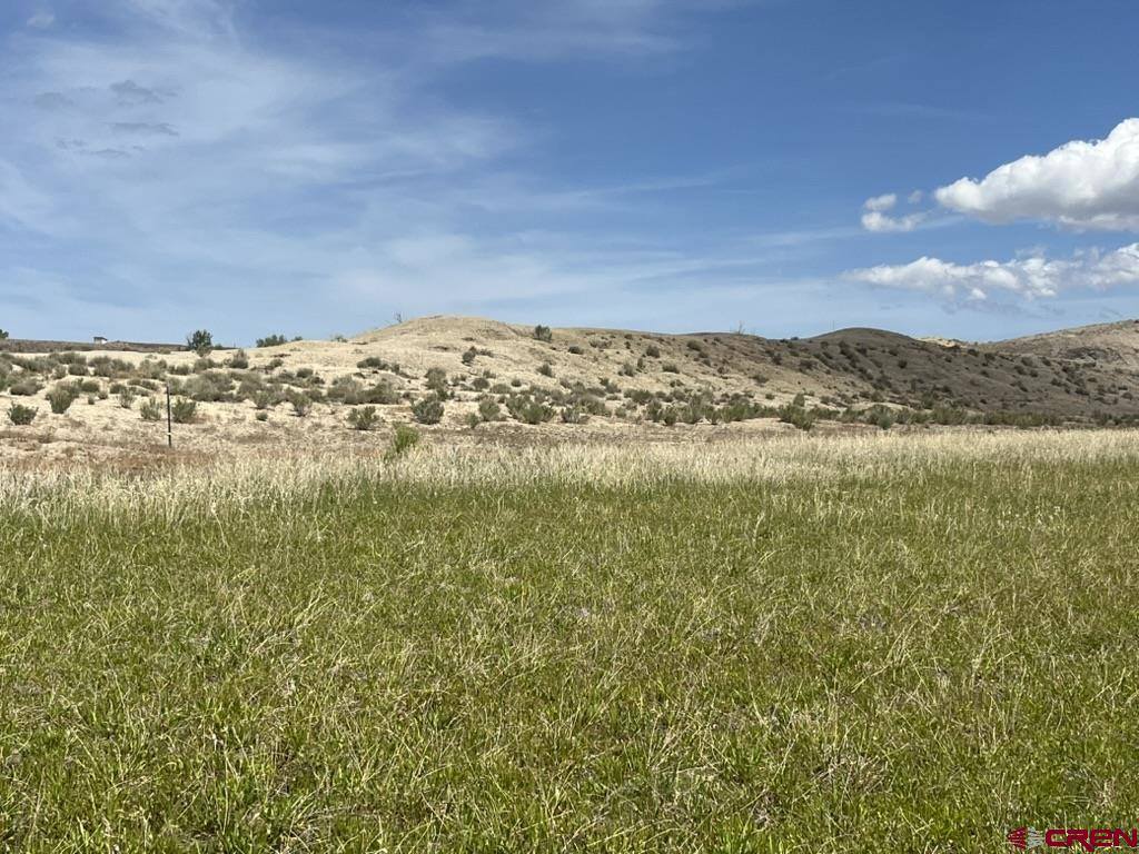 TBD Lot 1&2 Racine Road, Montrose, CO 81401