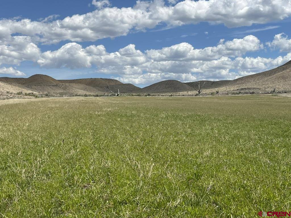 TBD Lot 1&2 Racine Road, Montrose, CO 81401