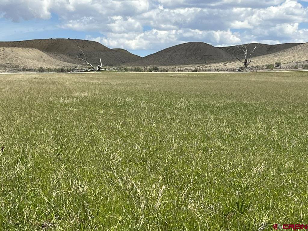 TBD Lot 1&2 Racine Road, Montrose, CO 81401