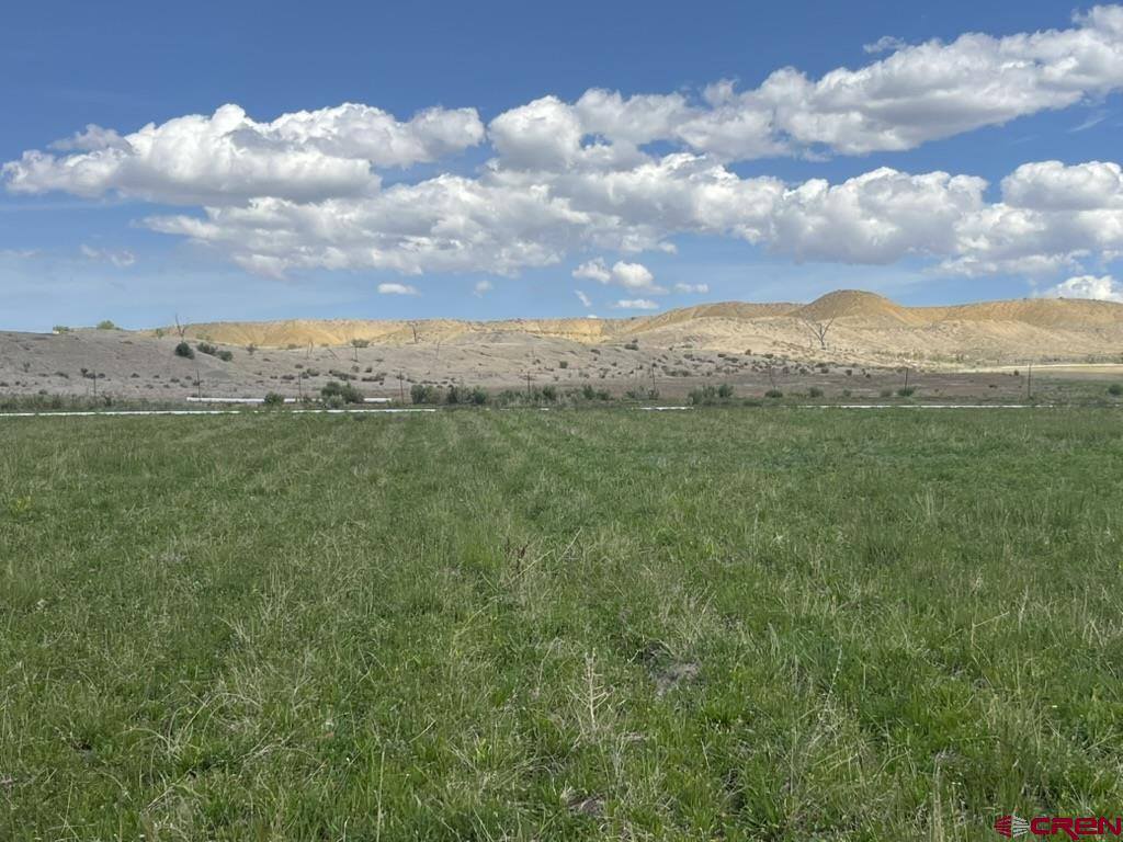 TBD Lot 1&2 Racine Road, Montrose, CO 81401